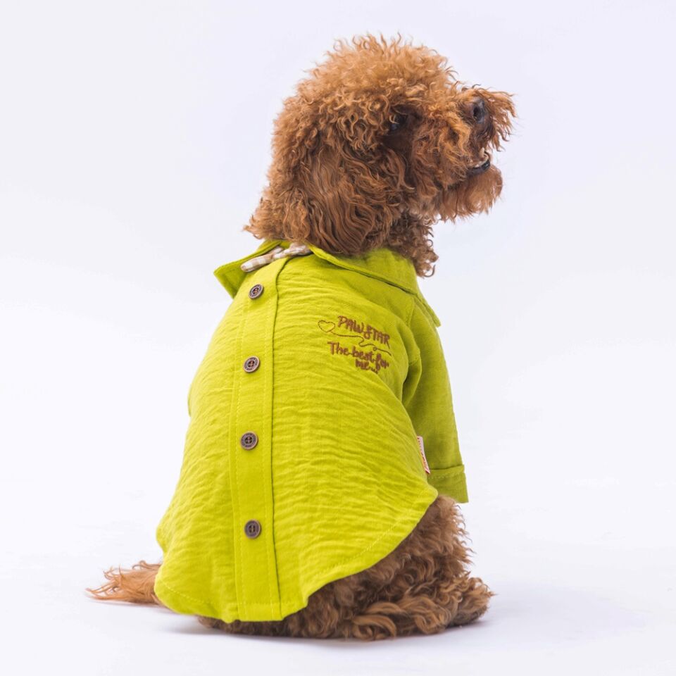 Pawstar Yeşil Linen Look Gömlek L
