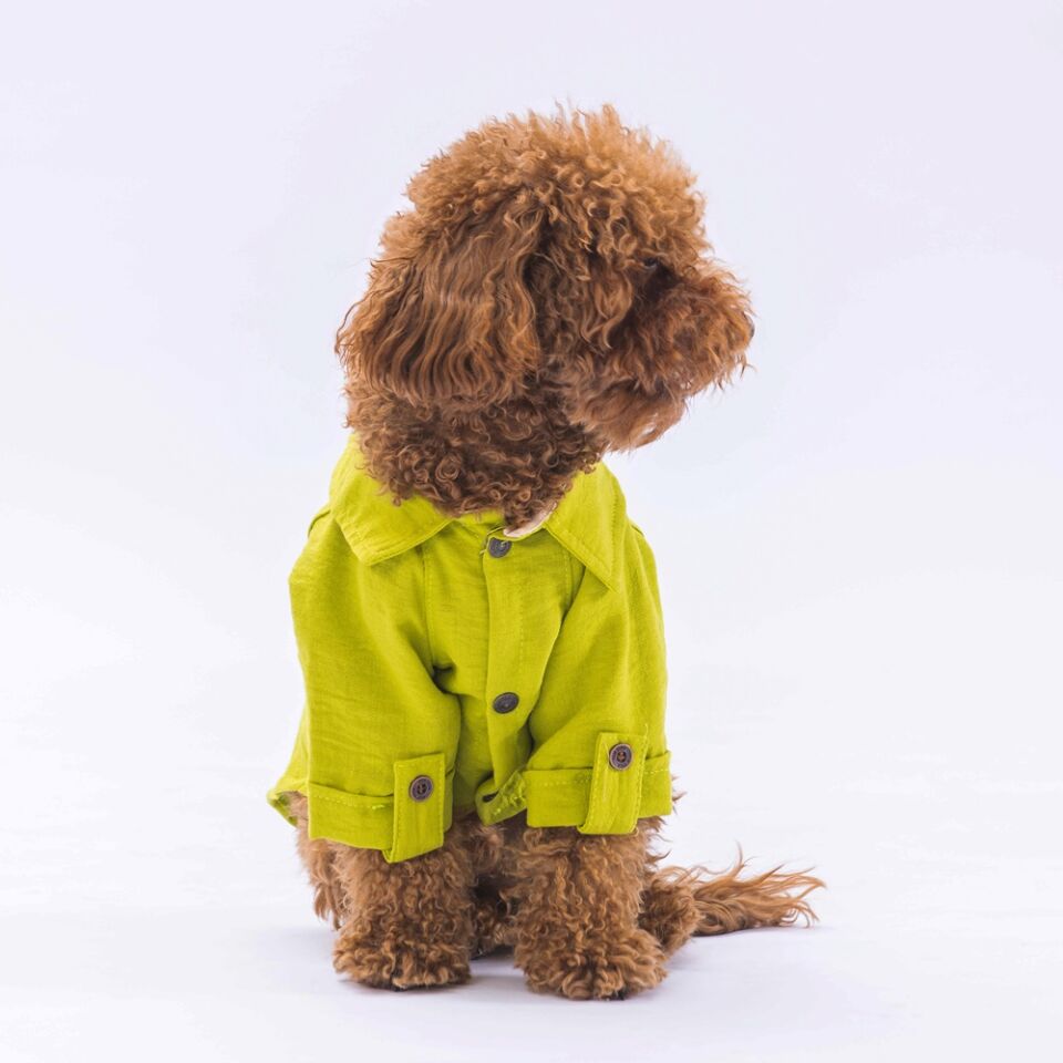Pawstar Yeşil Linen Look Gömlek L