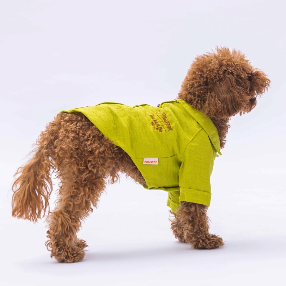 Pawstar Yeşil Linen Look Gömlek L