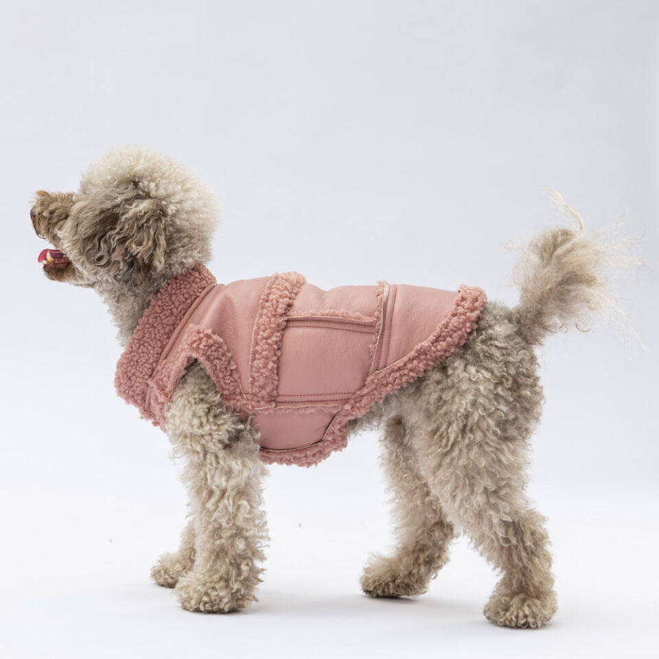 Pawstar Rose Churchill Yelek L