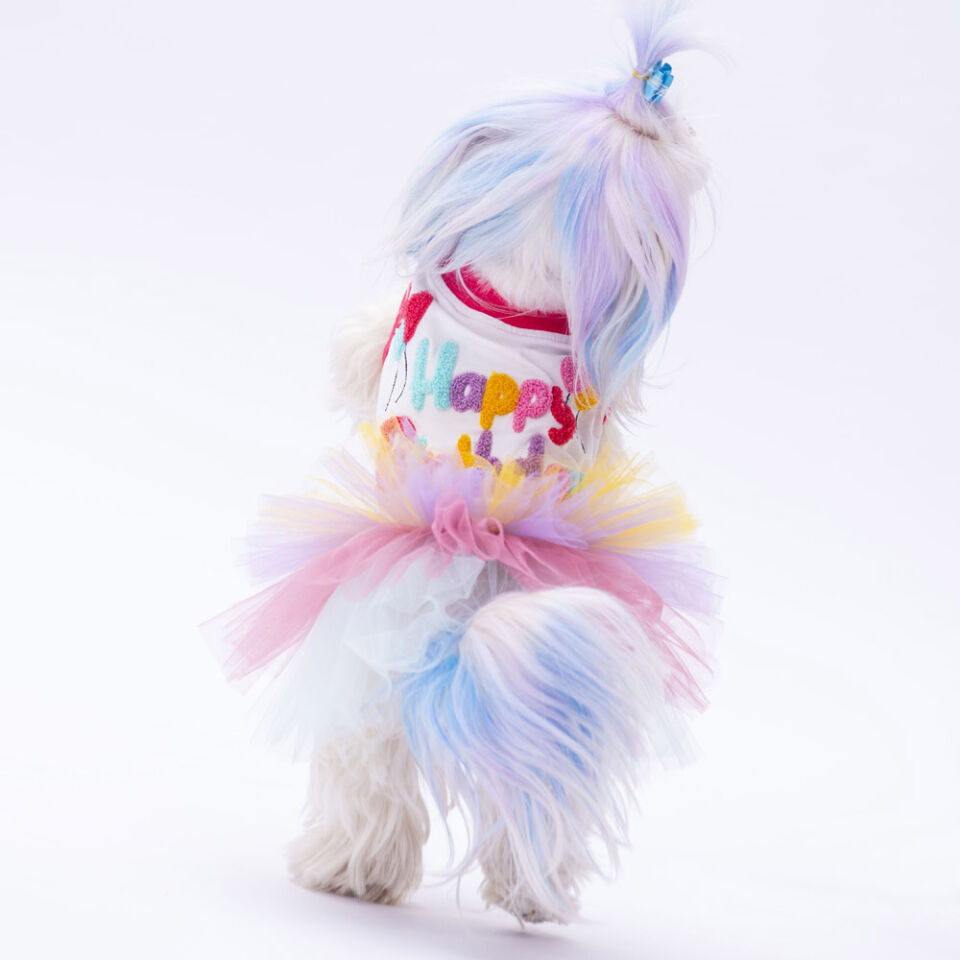 Pawstar Happy Birthday Dress S