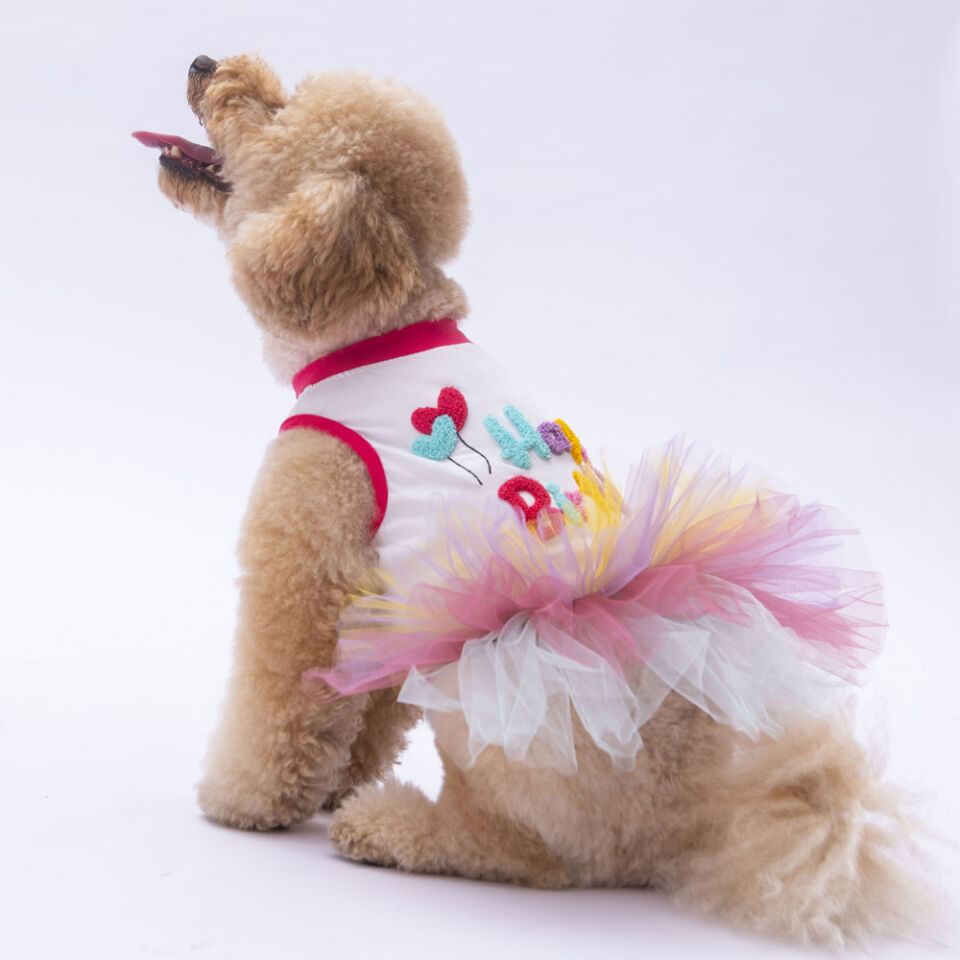Pawstar Happy Birthday Dress S