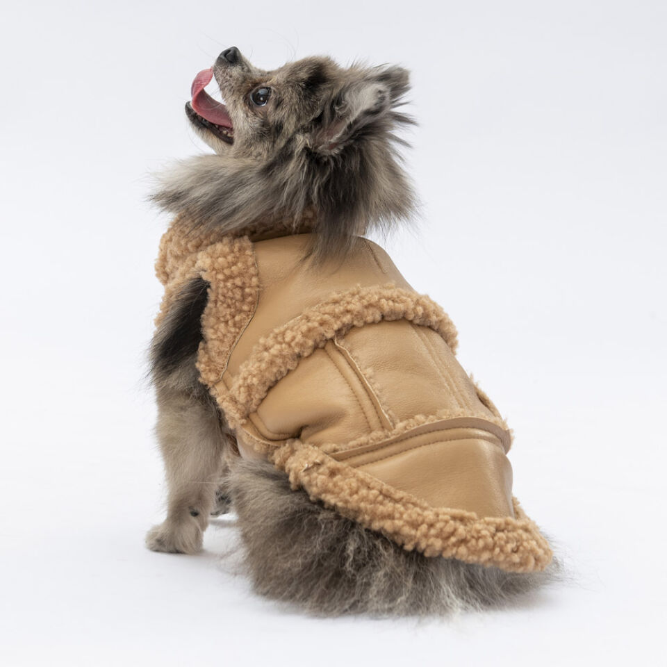 Pawstar Bej Churchill Yelek 2XL