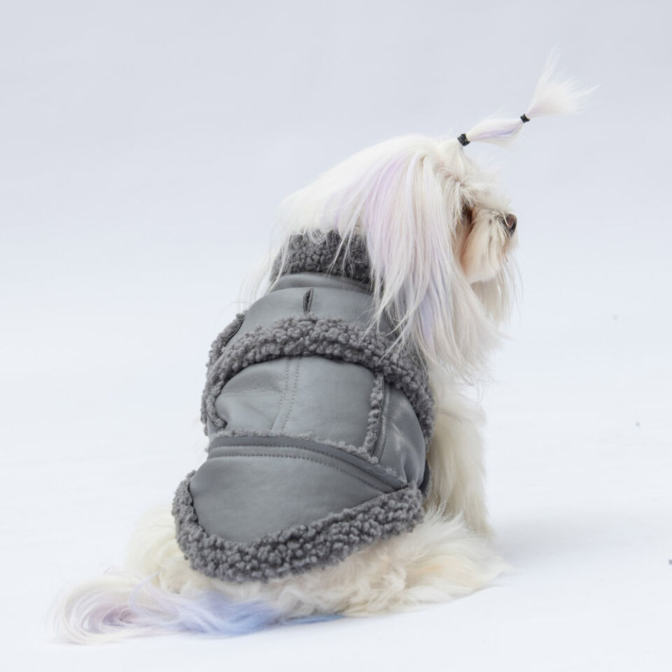 Pawstar Grey Churchill Yelek XL