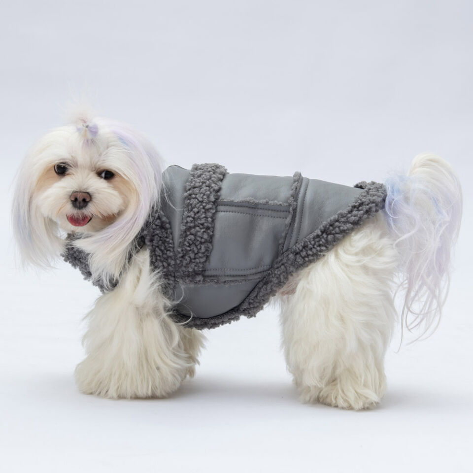 Pawstar Grey Churchill Yelek XL