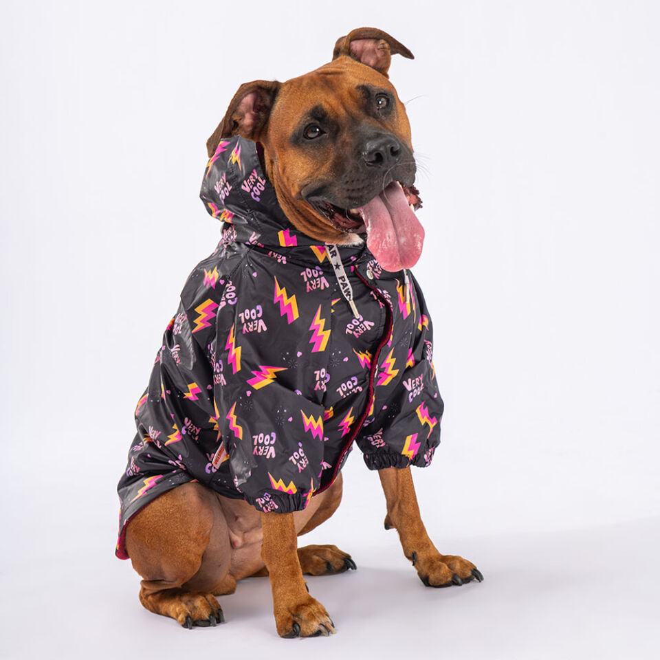 Pawstar Cool Büyük Irk Yağmurluk 4XL