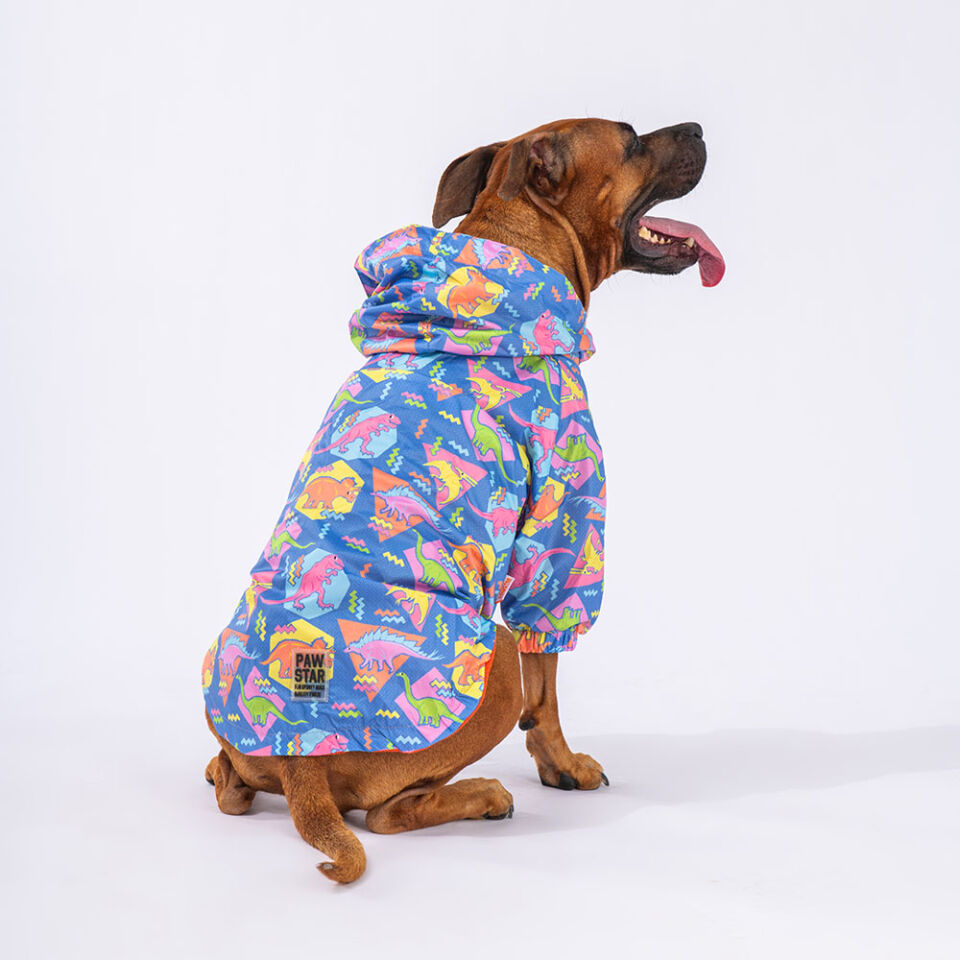 Pawstar Dinosaurum Büyük Irk Yağmurluk 3XL