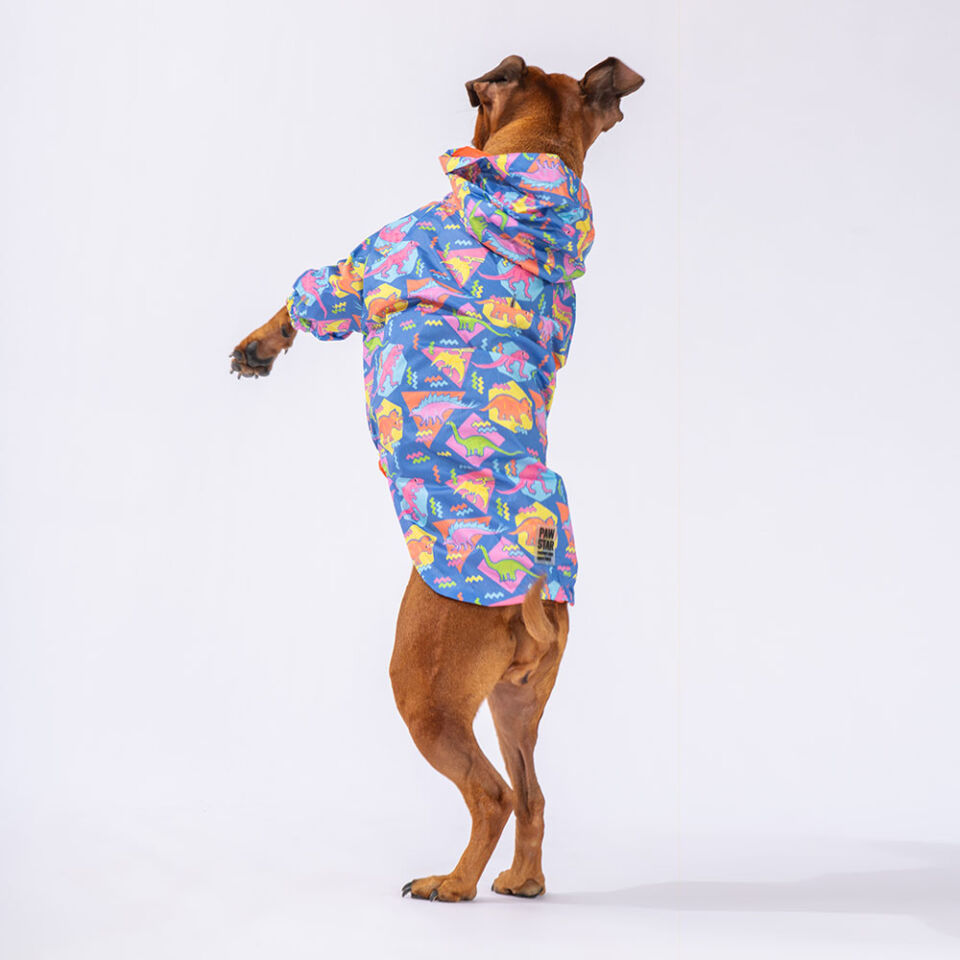 Pawstar Dinosaurum Büyük Irk Yağmurluk 3XL