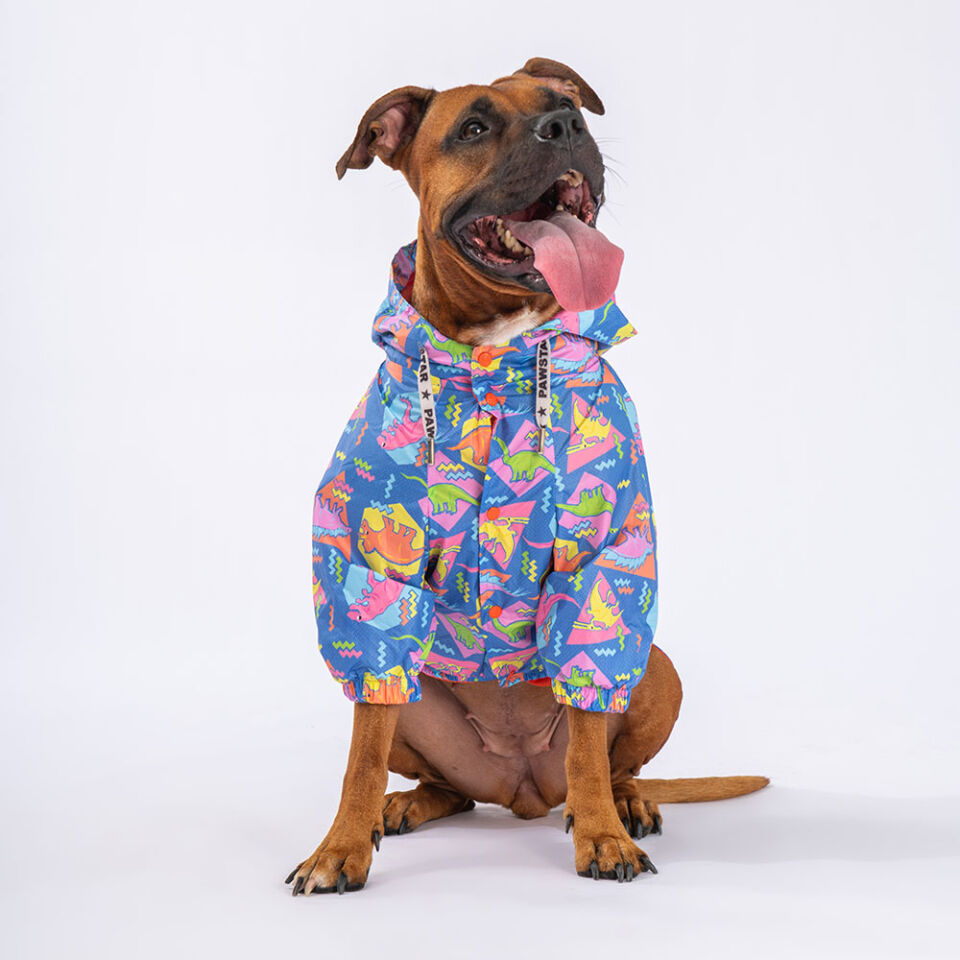 Pawstar Dinosaurum Büyük Irk Yağmurluk 3XL