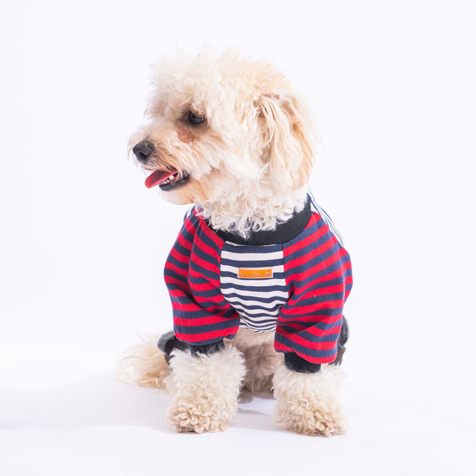 Pawstar Lacivert Foodie Tulum 2XL