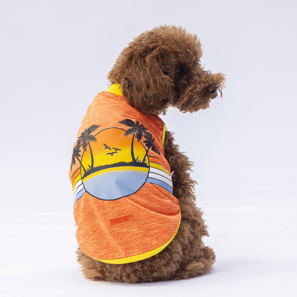 Pawstar Turuncu Sunrise Tişört L