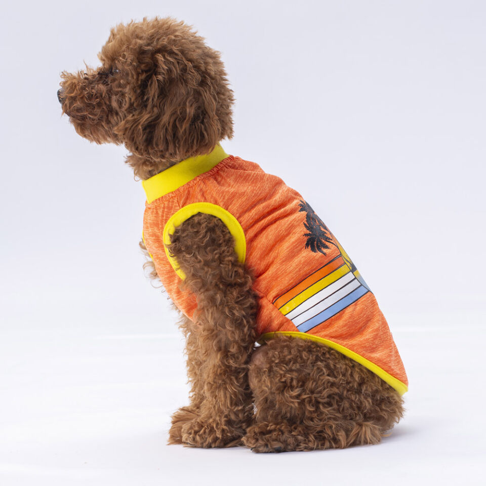 Pawstar Turuncu Sunrise Tişört L