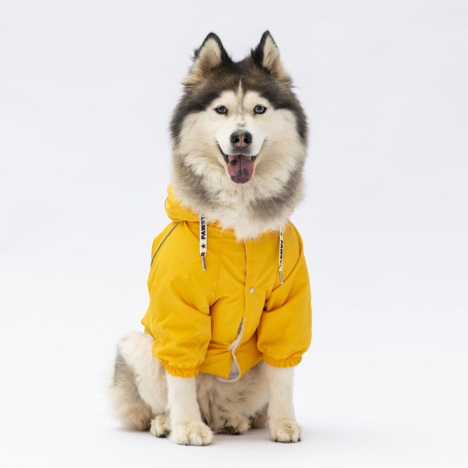Pawstar Sarı Pluvia Büyük Yağmurluk 3XL