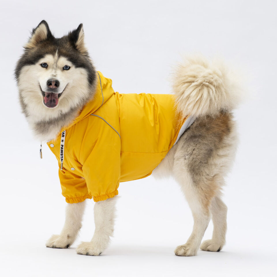 Pawstar Sarı Pluvia Büyük Yağmurluk 3XL