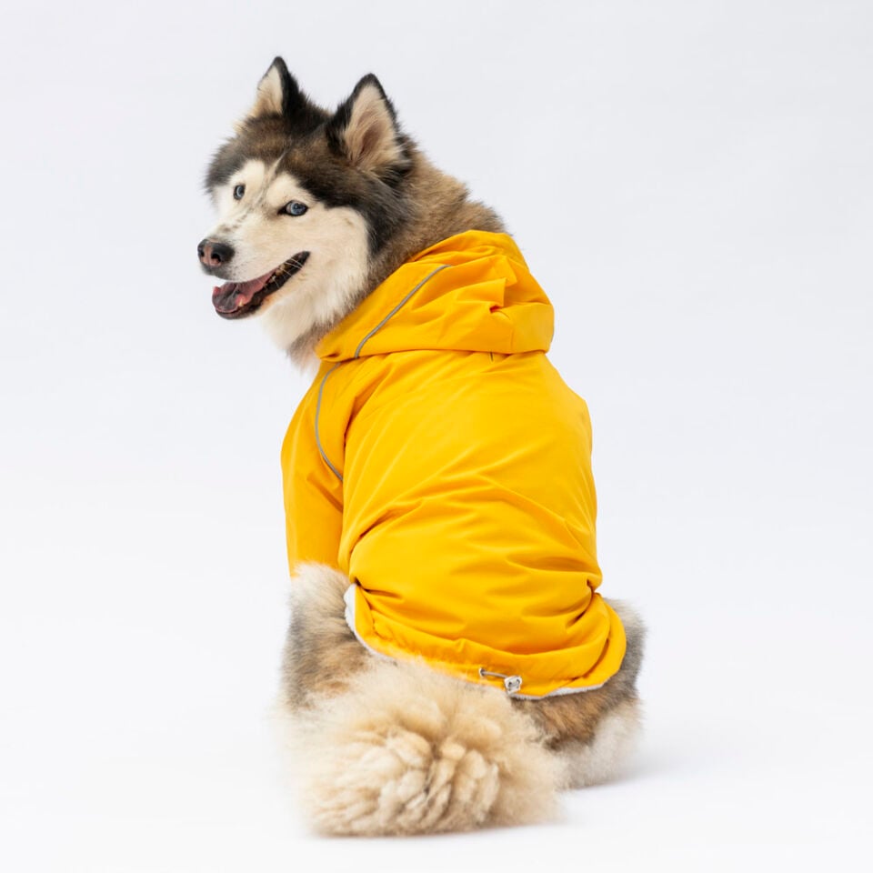 Pawstar Sarı Pluvia Büyük Yağmurluk 4XL