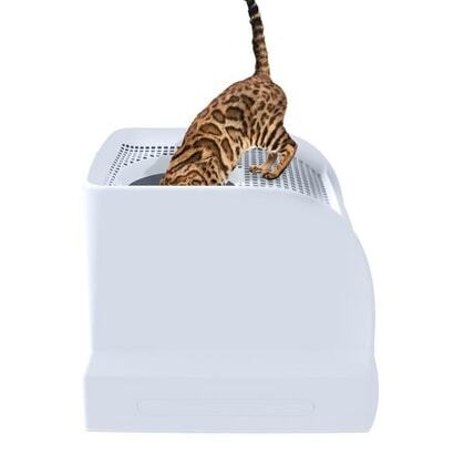 Imac Frida Çekmeceli Kedi Tuvaleti Baby Blue - 2