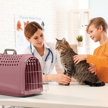 Imac Lınus Evcil Hayvan Taşıma Çantası Pembe 52,5x32x34,5cm - 2