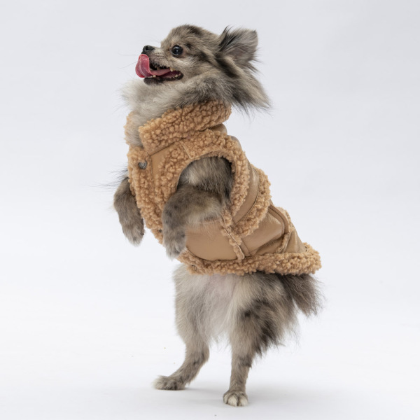 Pawstar Bej Churchill Yelek 2XL - 3