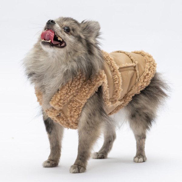 Pawstar Bej Churchill Yelek L - 2