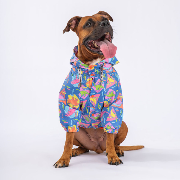 Pawstar Dinosaurum Büyük Irk Yağmurluk 5XL - 3