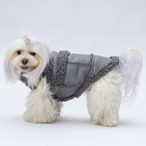 Pawstar Grey Churchill Yelek M - 3
