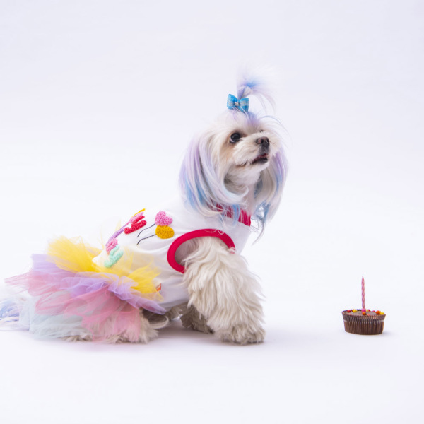 Pawstar Happy Birthday Dress S - Pawstar