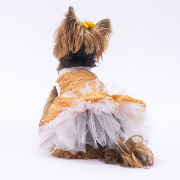 Pawstar Kahverengi Primavera Elbise M - Pawstar