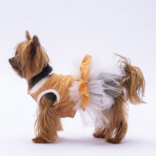 Pawstar Kahverengi Primavera Elbise M - 2