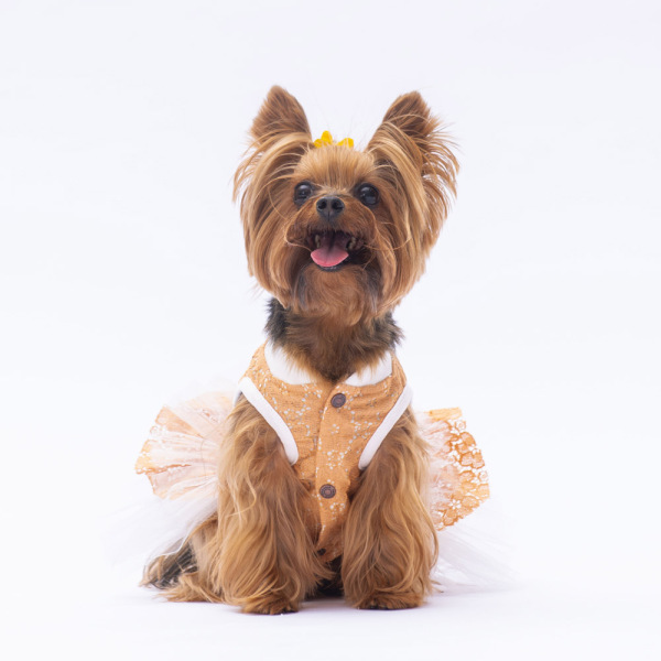 Pawstar Kahverengi Primavera Elbise M - 3