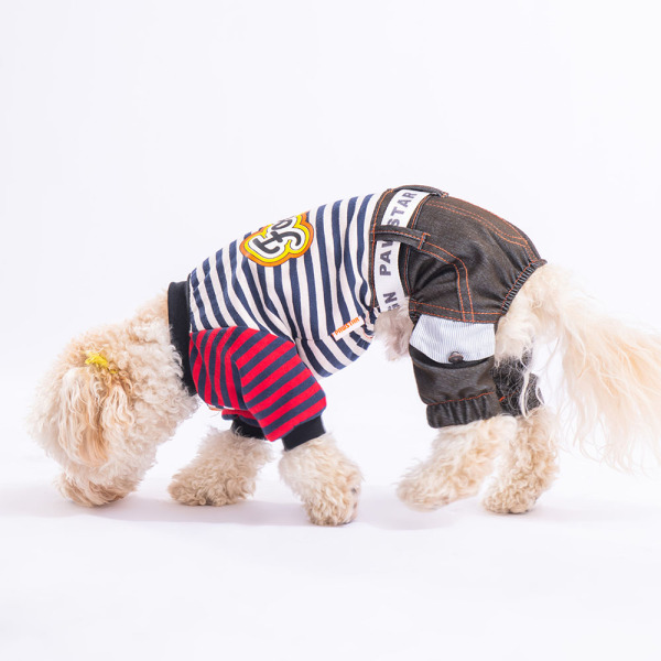 Pawstar Lacivert Foodie Tulum 2XL - 2