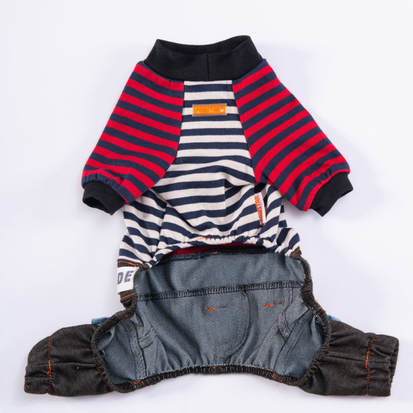 Pawstar Lacivert Foodie Tulum 2XL - 5