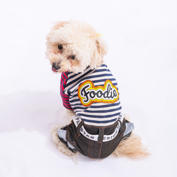 Pawstar Lacivert Foodie Tulum XL - Pawstar