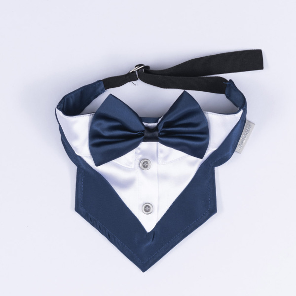 Pawstar Lacivert Smokin Fular 2 - 2