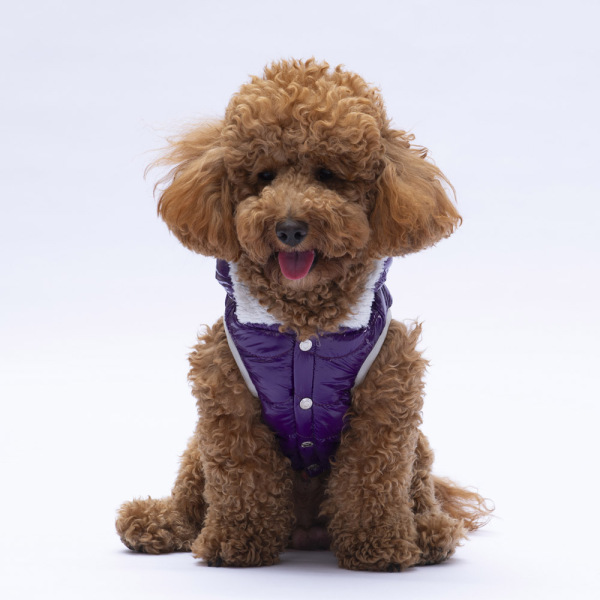 Pawstar Mor Light Wawe Yelek L - 2