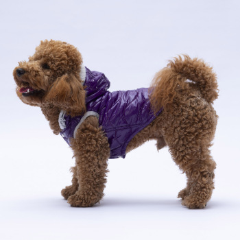 Pawstar Mor Light Wawe Yelek L - 3