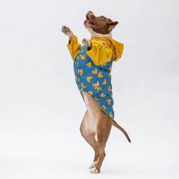 Pawstar Pekin Büyük Irk Yağmurluk 5XL - 2