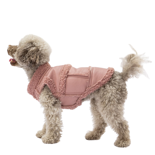 PawStar Rose Churchill Küçük Irk Köpek Kolsuz Yelek XLarge - Pawstar