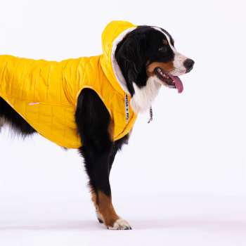 Pawstar Sarı Railway Büyük Irk Yelek 3XL - 2