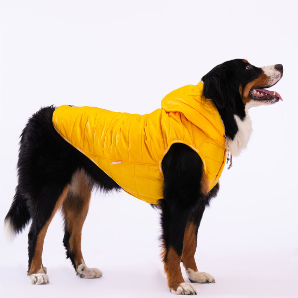 Pawstar Sarı Railway Büyük Irk Yelek 5XL - Pawstar