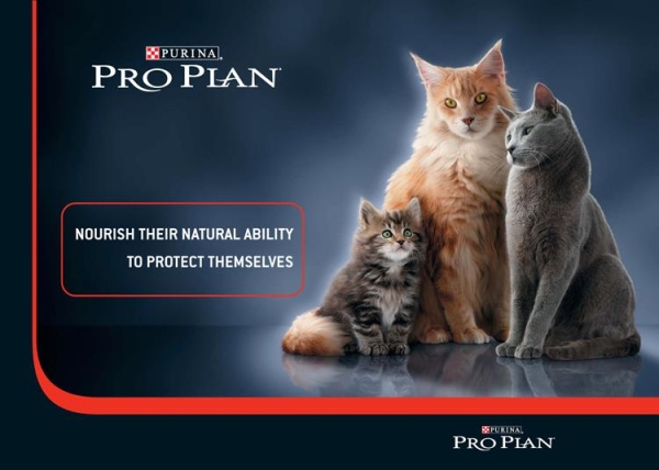 Pro Plan Kitten Hediyeli Kutu Tavuklu Yavru Kedi Maması 1.5 Kg - 3