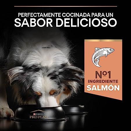 Pro Plan Medium Adult Somonlu Yetişkin Köpek Maması 3 Kg - 6