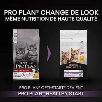 Pro Plan Original Kitten Tavuklu Yavru Kedi Maması 10 Kg - 3