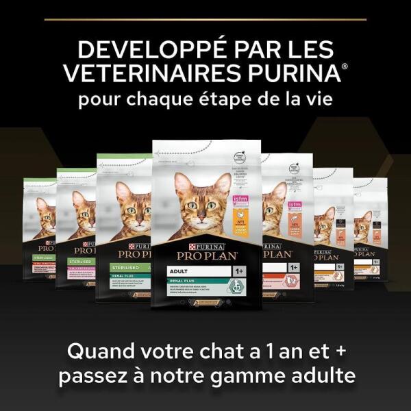 Pro Plan Original Kitten Tavuklu Yavru Kedi Maması 10 Kg - 6