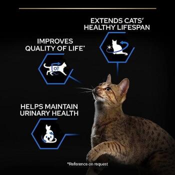 Pro Plan Sterilised Senior +7 Hindili Yaşlı Kedi Maması 3 Kg - 4