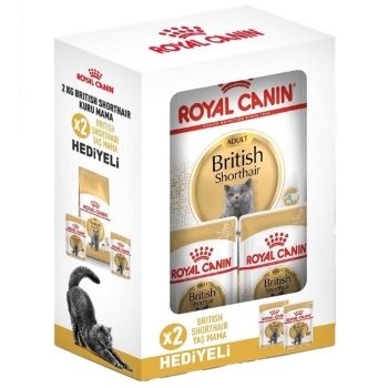 Royal Canin British Shorthair Hediyeli Kutu Yetişkin Kedi Maması 2 Kg - 1