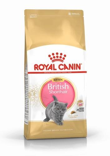 Royal Canin British Shorthair Yavru Kedi Maması 2 Kg - 1