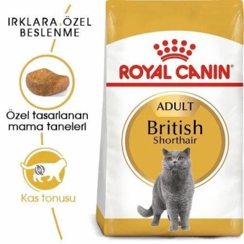 Royal Canin British Shorthair Yetişkin Kedi Maması 2 Kg - 3