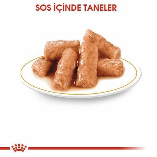 Royal Canin British Shorthair Yetişkin Kedi Yaş Maması 85 Gr 12 Li - 2