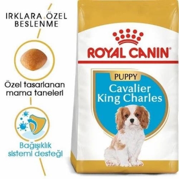 Royal Canin Cavalier King Charles Yavru Köpek Maması 1.5 Kg - 5