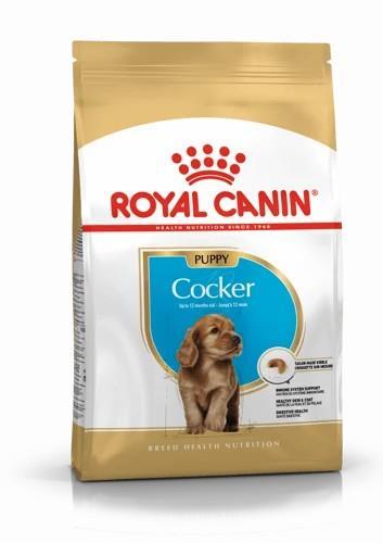 Royal Canin Cocker Yavru Köpek Maması 3 Kg - Royal Canin